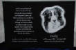 webassets/Granite8x12Headstone.jpg